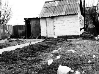 Similar image 21293043