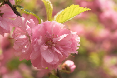 Similar image 21292727