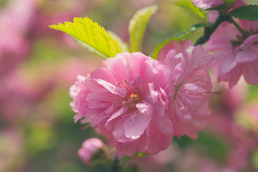 Similar image 21292729