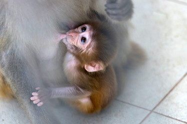 Similar image 21292730