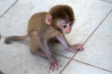 Similar image 21292731