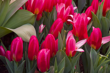 Similar image 21292517