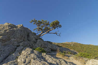 Similar image 21292521