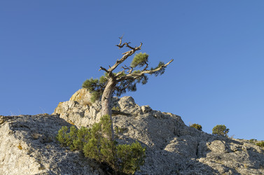 Similar image 21292522