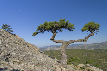 Similar image 21292523