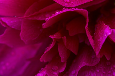 Similar image 21292606