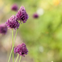 Similar image 21292607