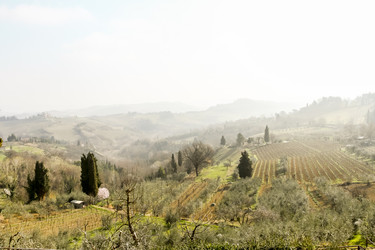 Similar image 21292614