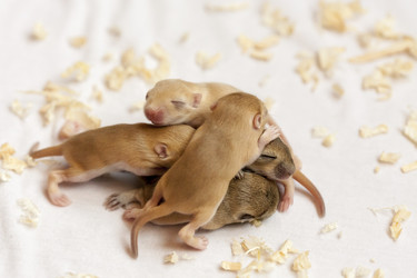 Similar image 21292619