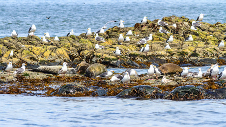 Similar image 21292625