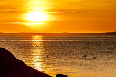 Similar image 21292637