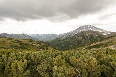 Similar image 21292641