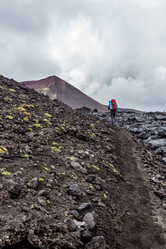 Similar image 21292643