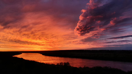 Similar image 21293995