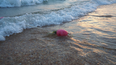 Similar image 21343110