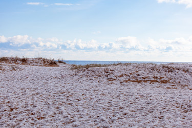 Similar image 21319441