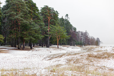 Similar image 21320204