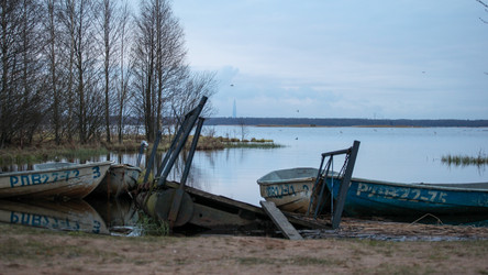 Similar image 21307252