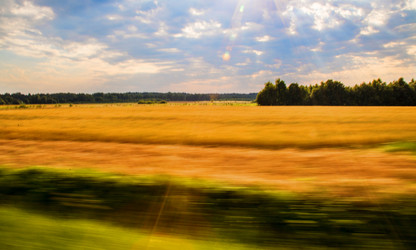 Similar image 21296677