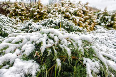 Similar image 21296694