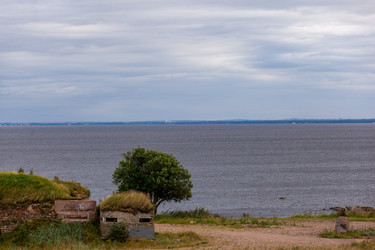 Similar image 21307267