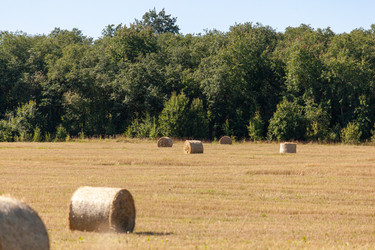 Similar image 21307289