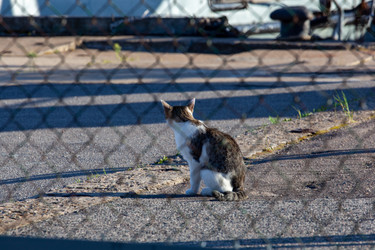 Similar image 21293639