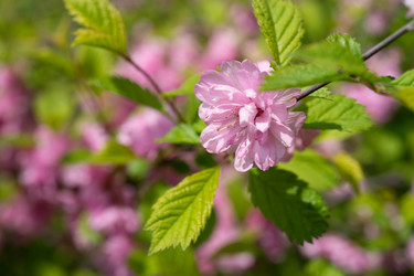 Similar image 21292947