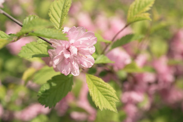 Similar image 21292948