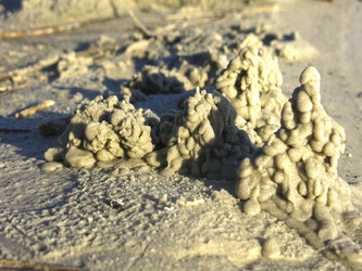 Similar image 21293074