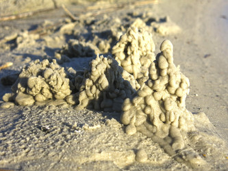 Similar image 21293076