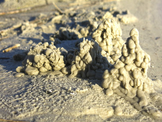 Similar image 21293077