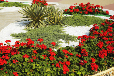 Similar image 21293081