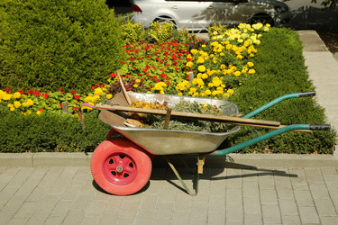 Similar image 21293082