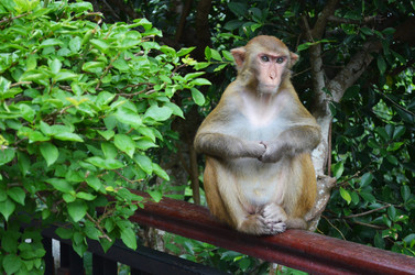 Similar image 21294006