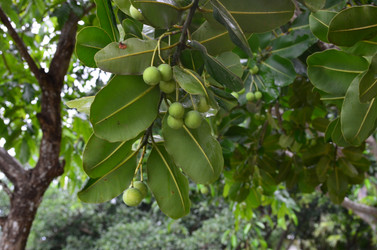 Similar image 21294007