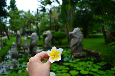 Similar image 21294016