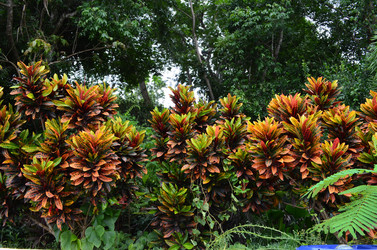 Similar image 21294018