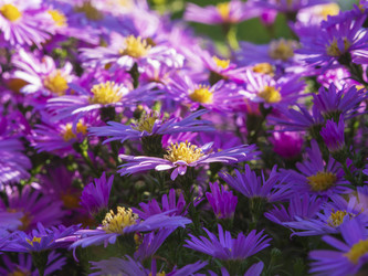 Similar image 21292951