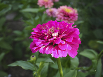 Similar image 21292956