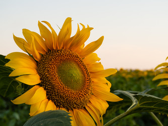 Similar image 21292957