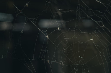 Similar image 21293096