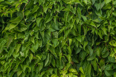 Similar image 21293098