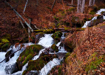 Similar image 21293116