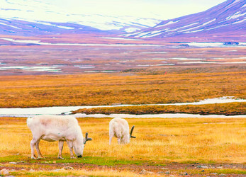 Similar image 21293117