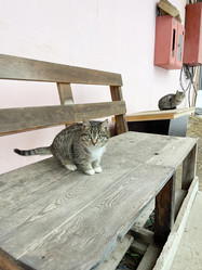 Similar image 21302181