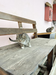 Similar image 21302190