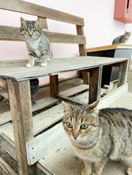 Similar image 21302191