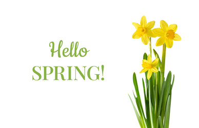 Similar image 21320632