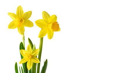 Similar image 21320633